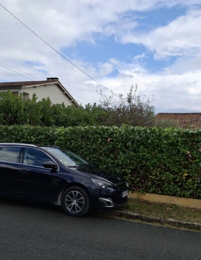 La Débroussailleuse La Débroussailleuse