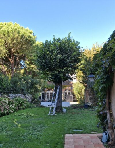 La Débroussailleuse La Débroussailleuse