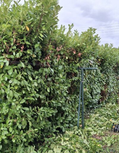 La Débroussailleuse La Débroussailleuse