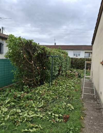 La Débroussailleuse La Débroussailleuse