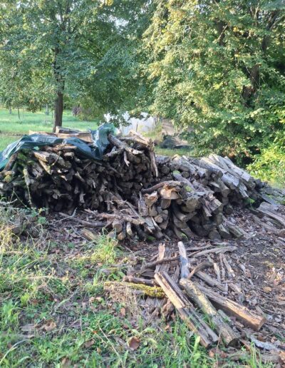La Débroussailleuse La Débroussailleuse