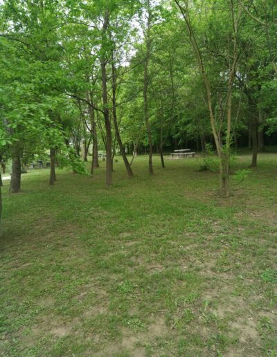 La Débroussailleuse La Débroussailleuse