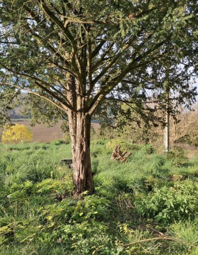 La Débroussailleuse La Débroussailleuse