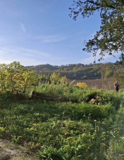 La Débroussailleuse La Débroussailleuse